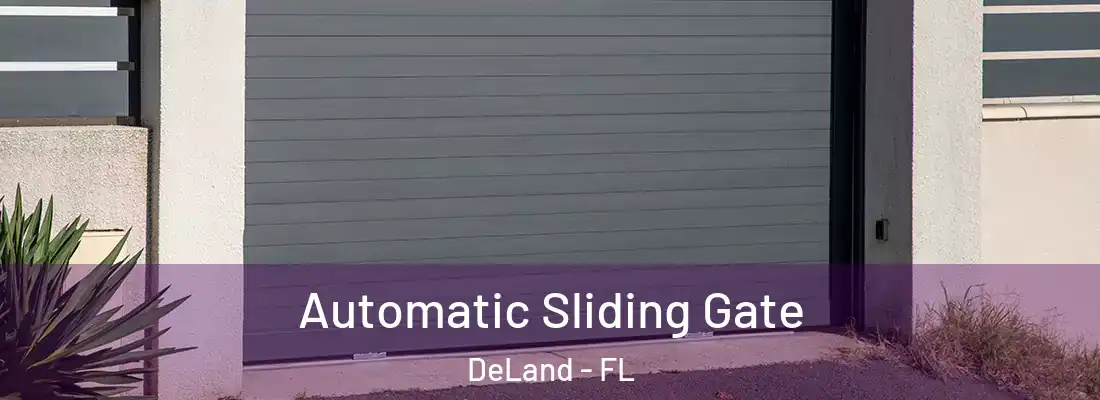  Automatic Sliding Gate DeLand - FL