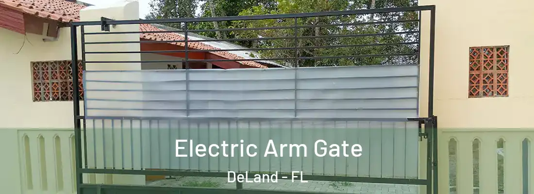 Electric Arm Gate DeLand - FL